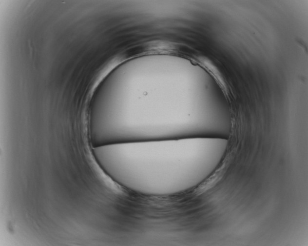 X0000097880859200803140940