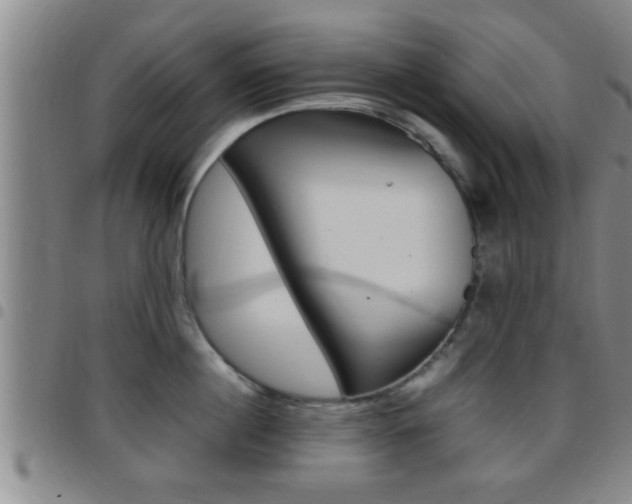 X0000097880860200803140940