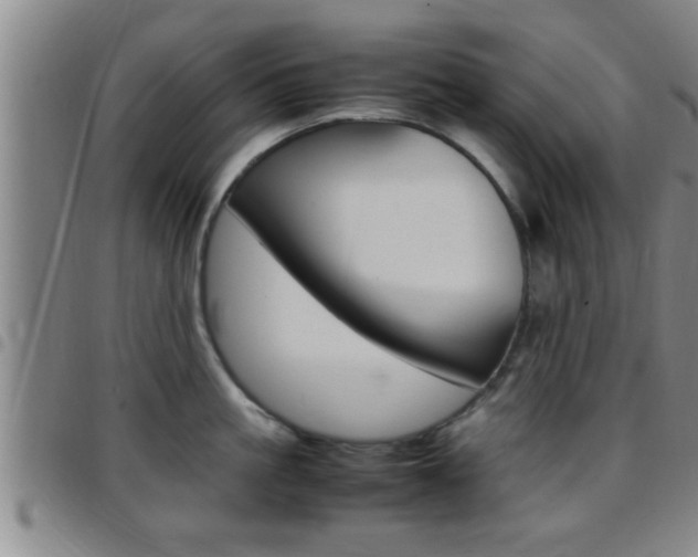 X0000097880861200803140940