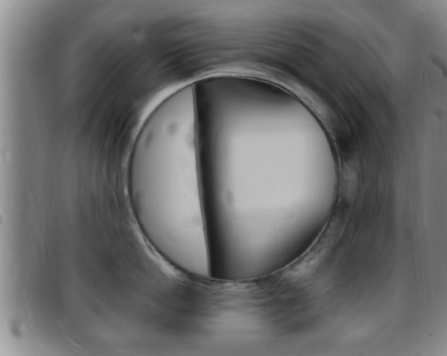 X0000097880862200803140940