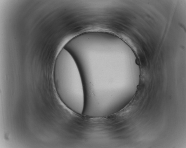 X0000097880863200803140940