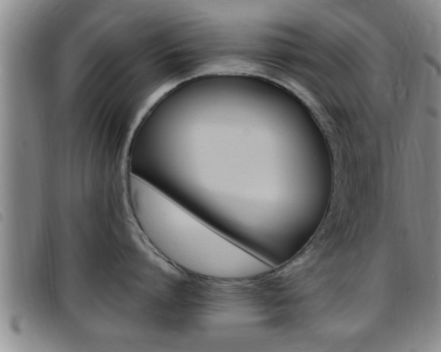 X0000097880864200803140940