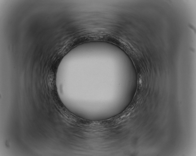 X0000097880867200803140940