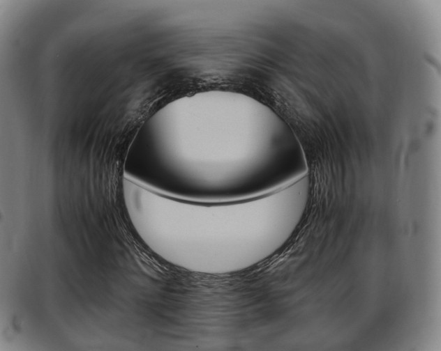 X0000097880868200803140940
