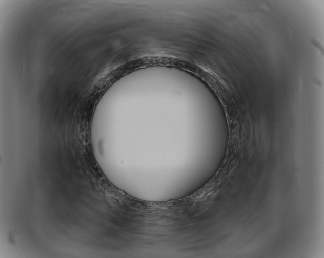 X0000097880870200803140940