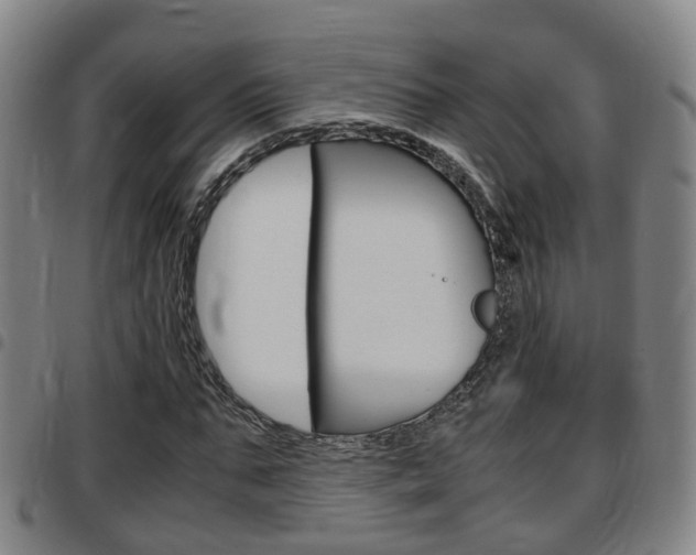 X0000097880871200803140940