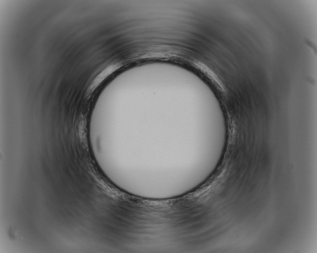 X0000097880874200803140940