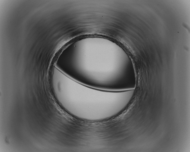 X0000097880876200803140940