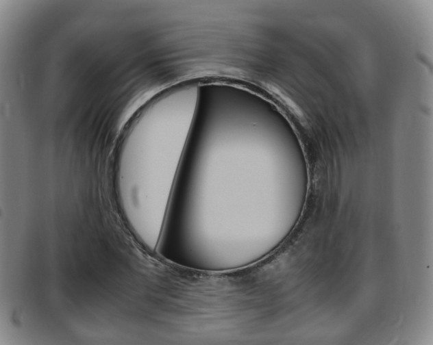 X0000097880877200803140940