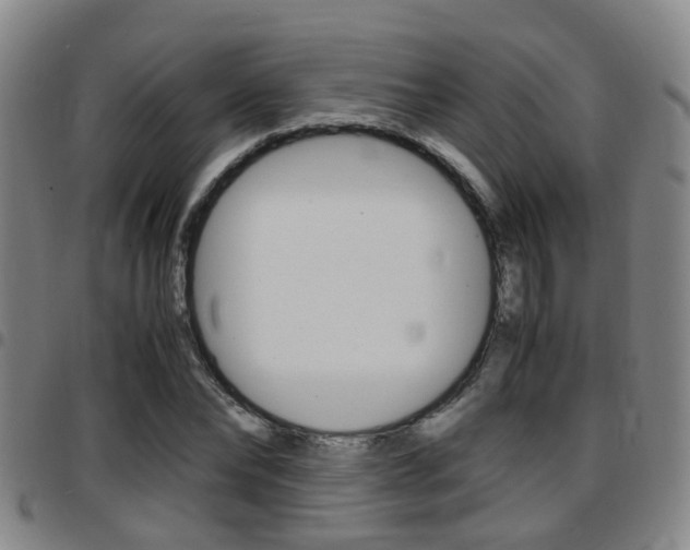 X0000097880878200803140940