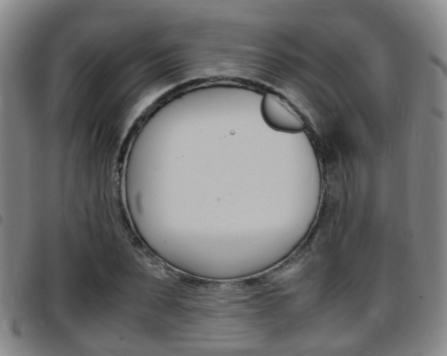 X0000097880879200803140940