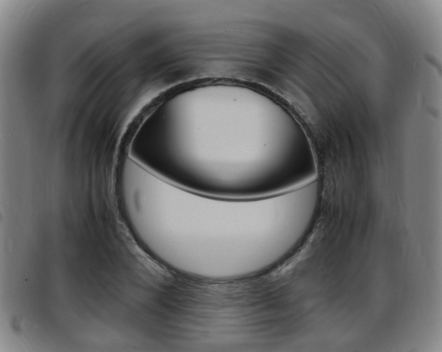 X0000097880880200803140940