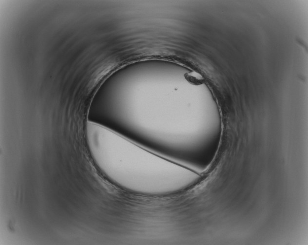 X0000097880881200803140940