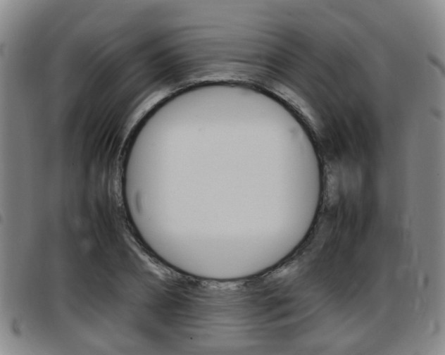 X0000097880882200803140940