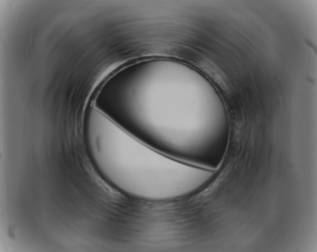 X0000097880884200803140940