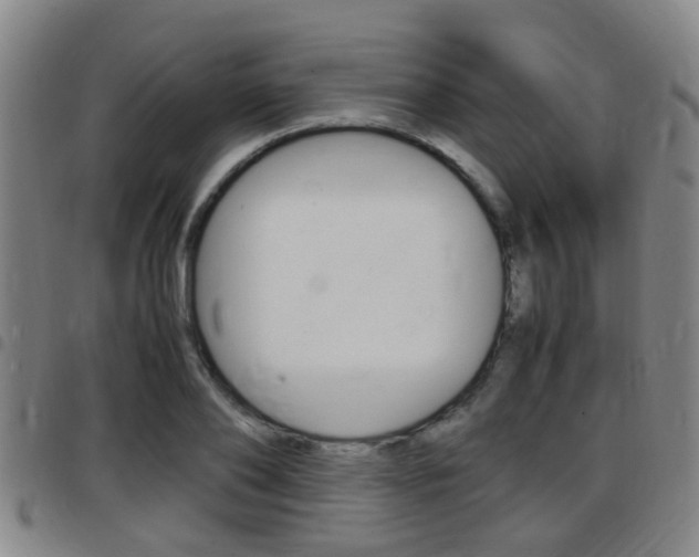 X0000097880886200803140940