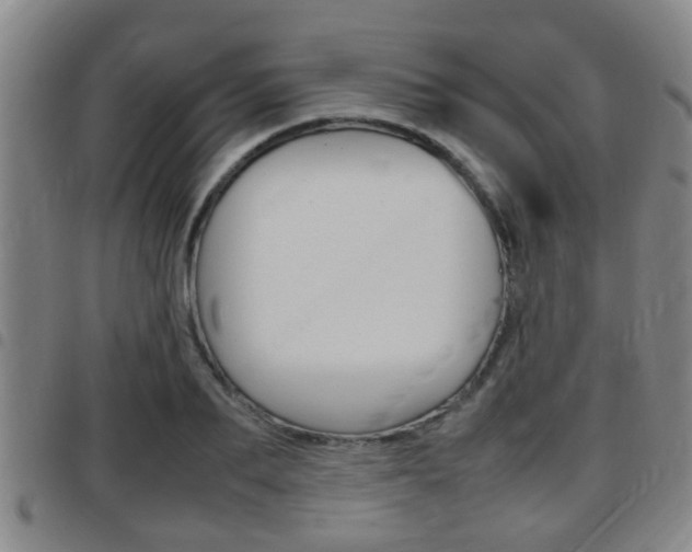 X0000097880887200803140940