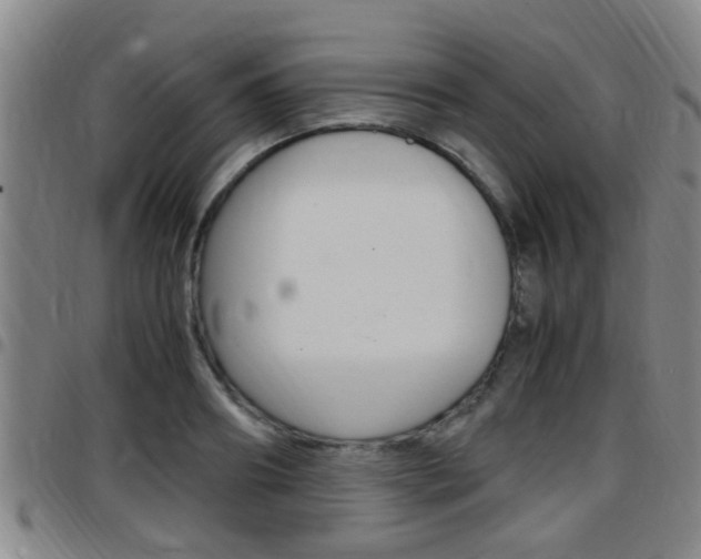 X0000097880890200803140939