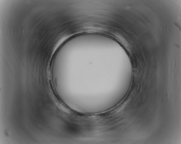 X0000097880891200803140939