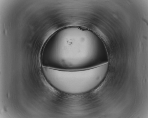 X0000097880892200803140939