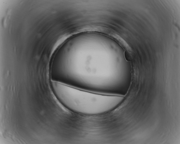 X0000097880894200803140939