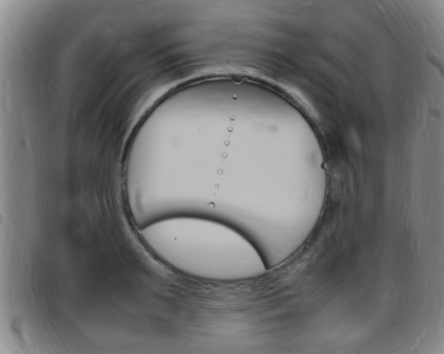 X0000097880895200803140939