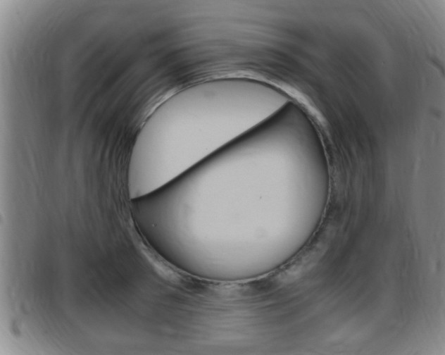 X0000097880897200803140939