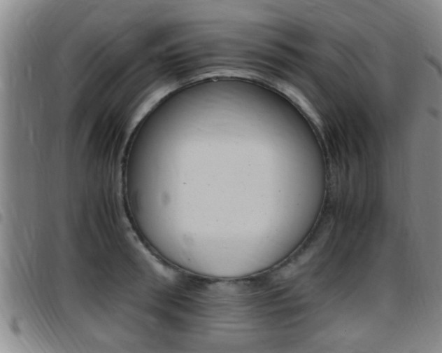 X0000097880898200803140939