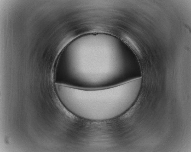 X0000097880900200803140939