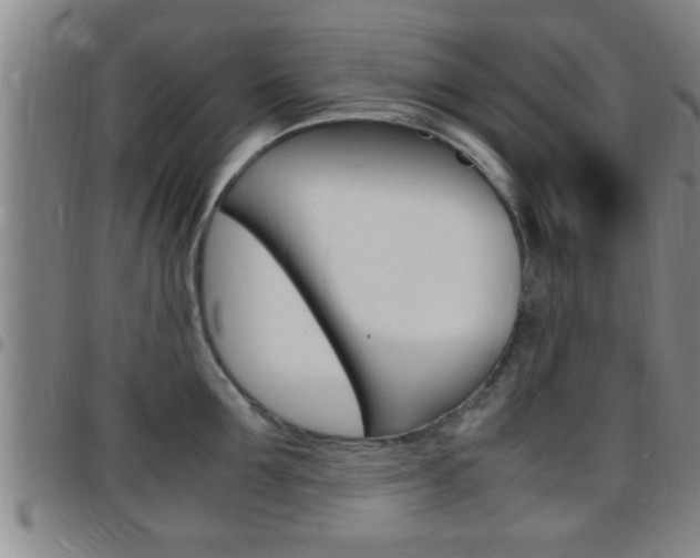 X0000097880907200803140939