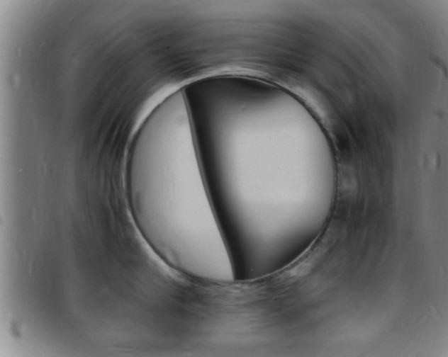 X0000097880910200803140939