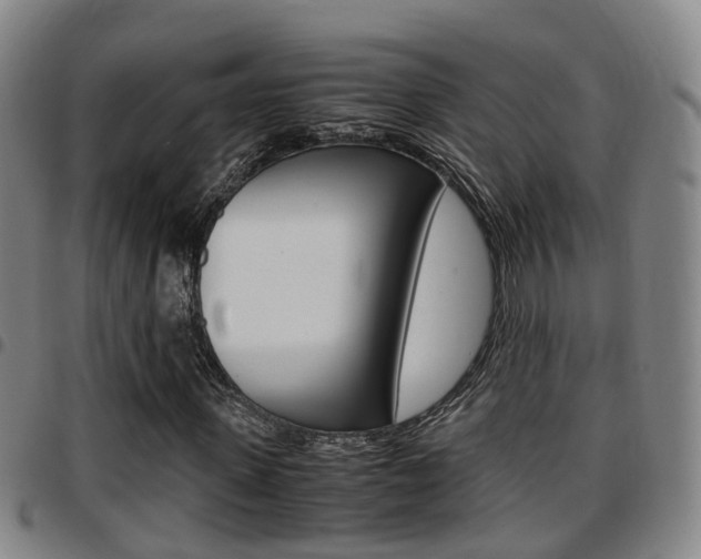 X0000097880915200803140939