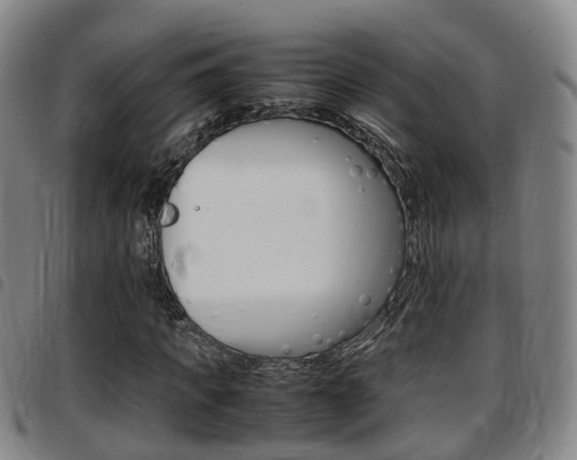 X0000097880917200803140939