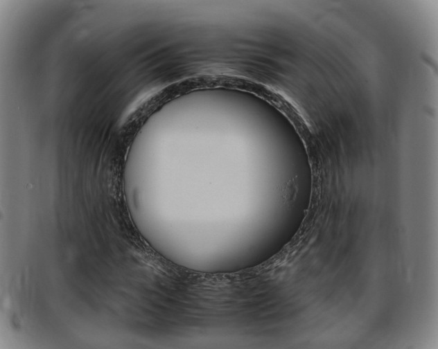 X0000097880919200803140939