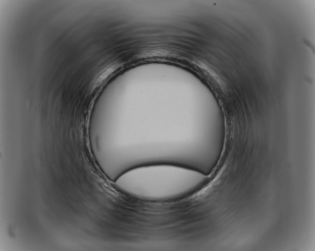 X0000097880921200803140939
