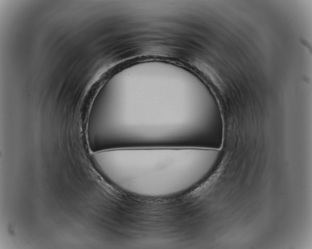 X0000097880923200803140939