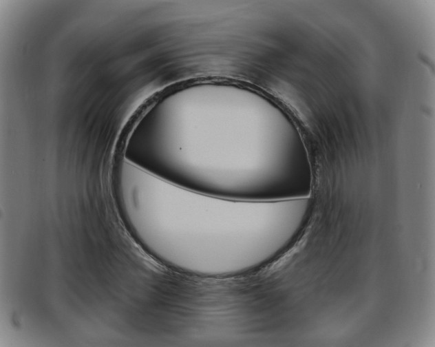 X0000097880924200803140939