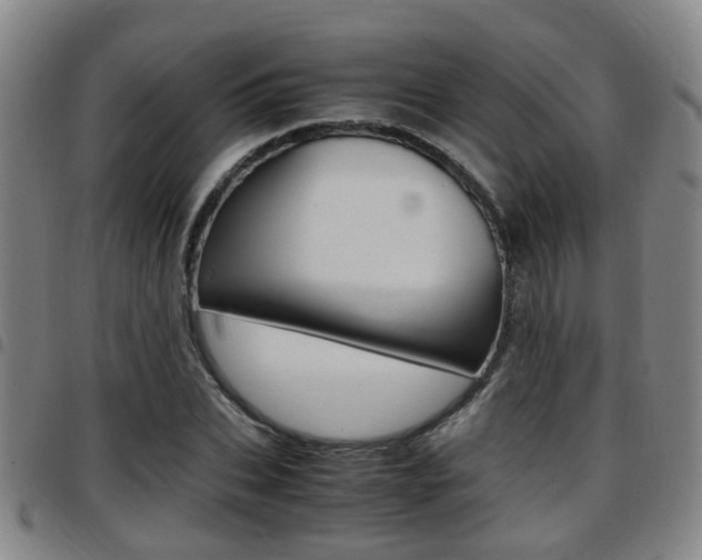 X0000097880927200803140939