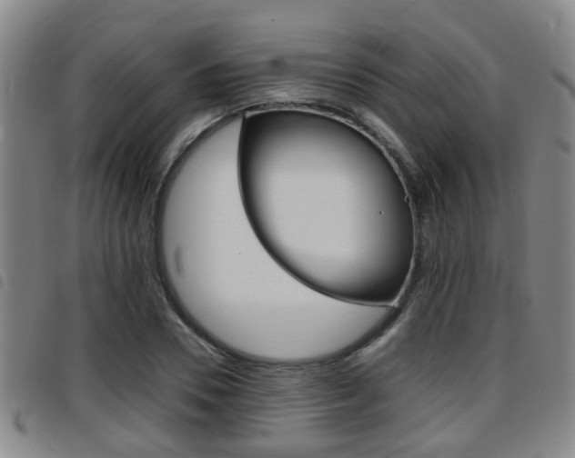 X0000097880930200803140939