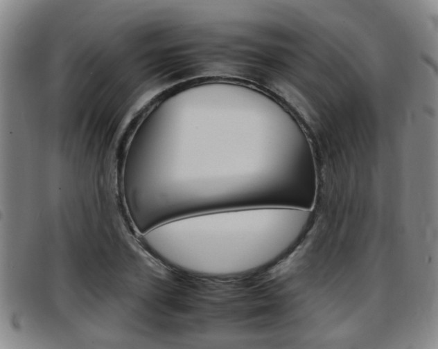 X0000097880931200803140939