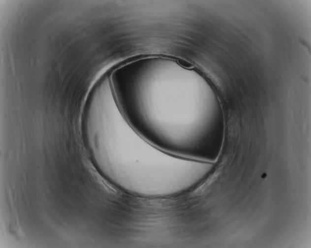 X0000097880932200803140939