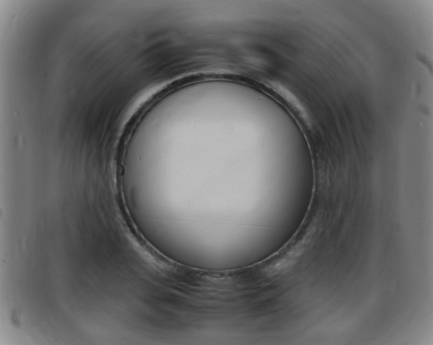 X0000097880935200803140939