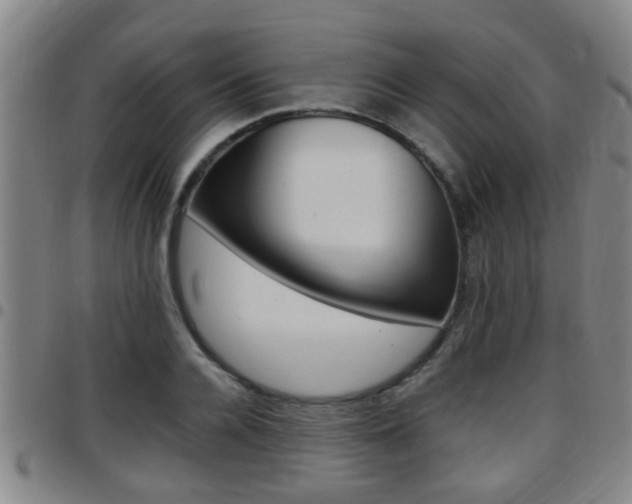 X0000097880936200803140939