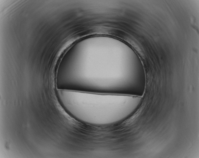 X0000097880939200803140939