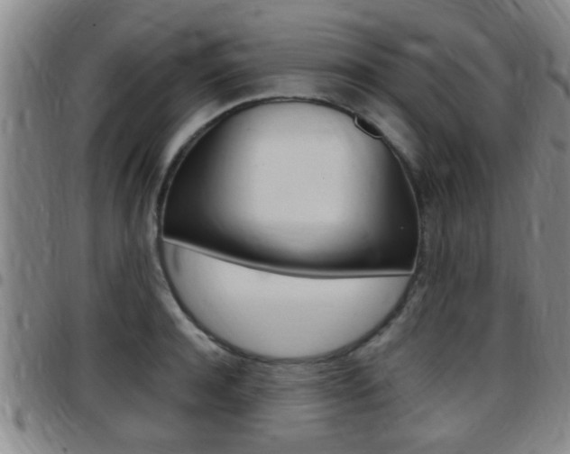 X0000097880944200803140939