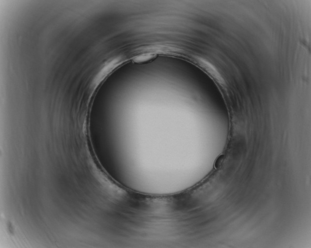 X0000097880946200803140939