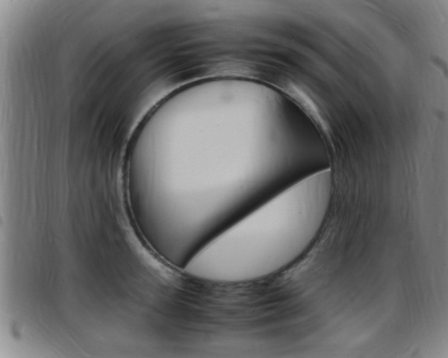 X0000097880947200803140939