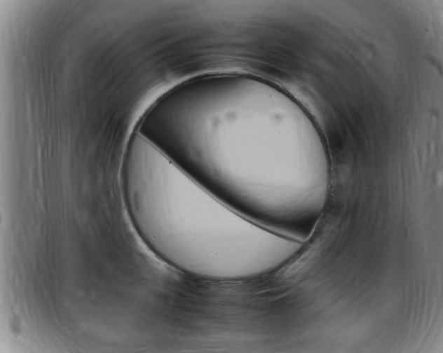 X0000097880951200803140939