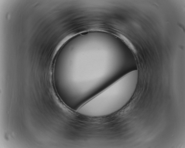 X0000097880955200803140939