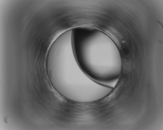 X0000097880956200803140939